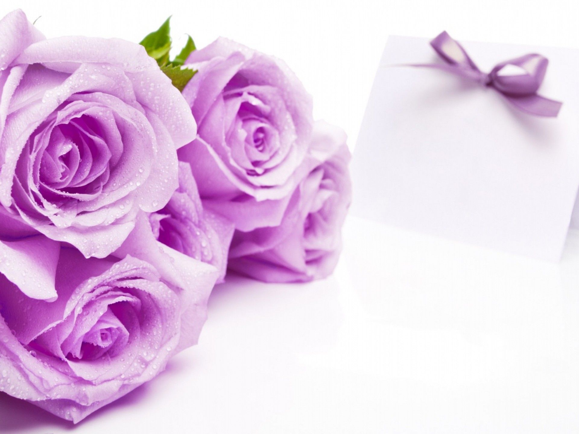 Rose viola con biglietto fiocco, 1920x1440 WUXGA, PC