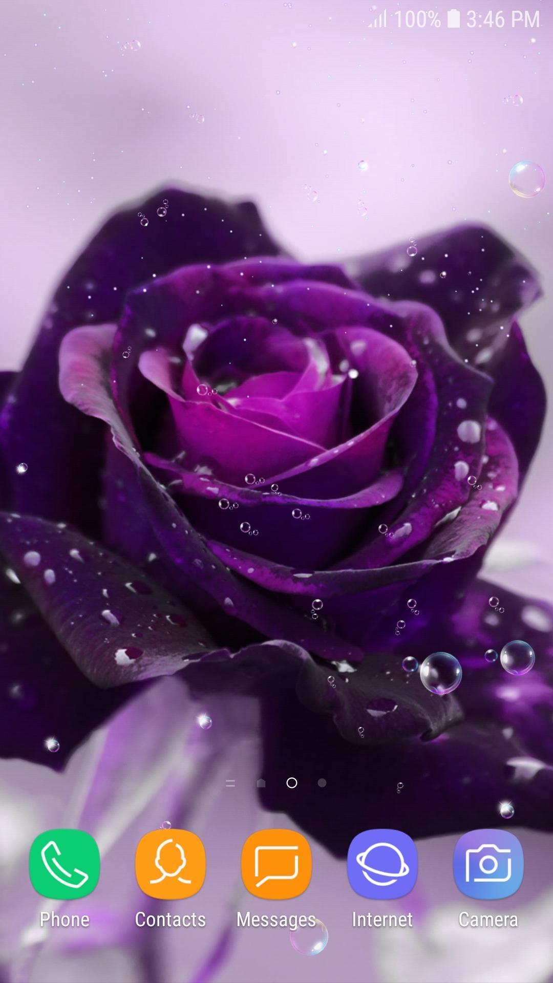 Rosa viola con gocce d'acqua, 1080x1920 Full HD Verticale, Samsung Galaxy