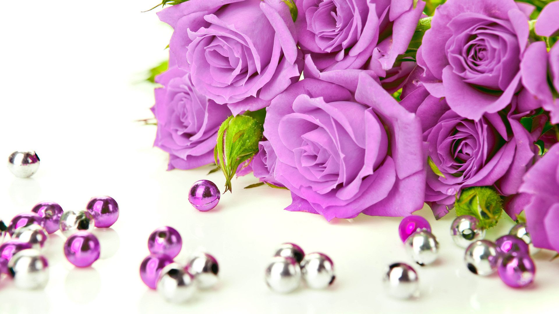 Rose viola con perline argentate, 1920x1080 Full HD, Laptop