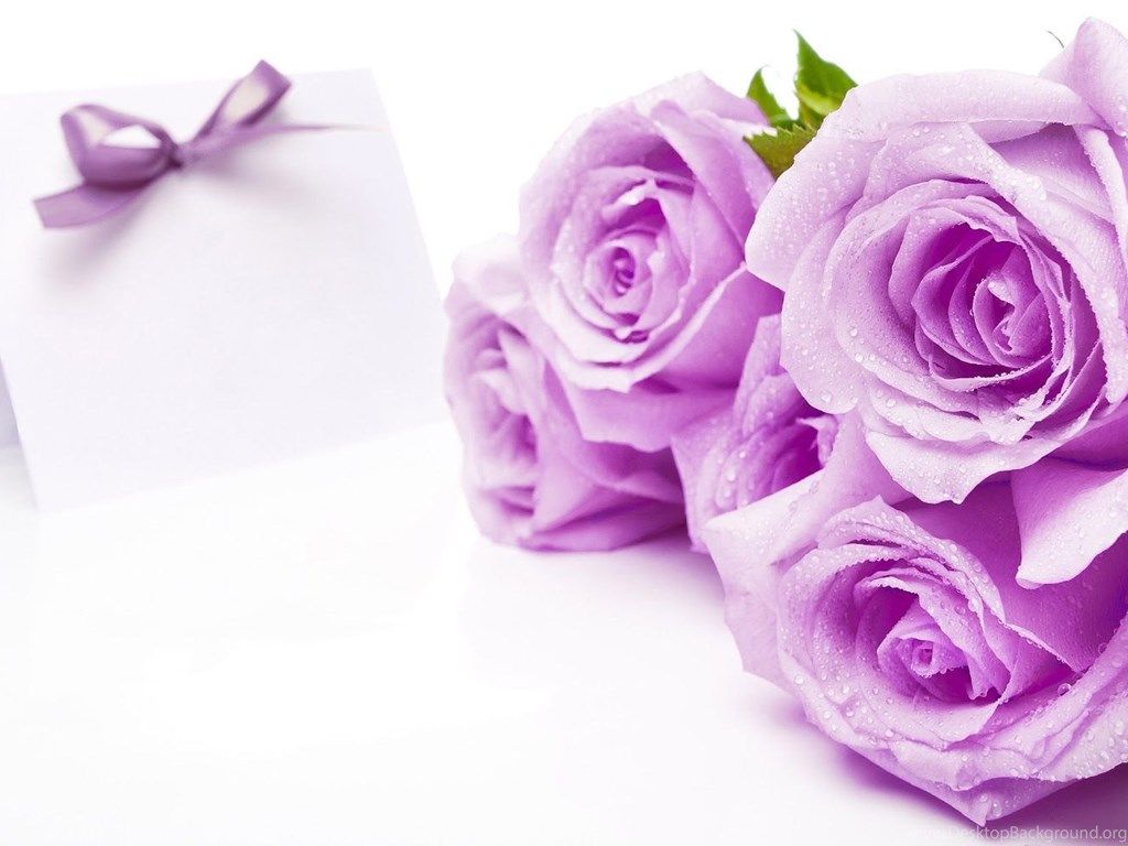 Rose viola con biglietto bianco, 1024x768 HD, Desktop