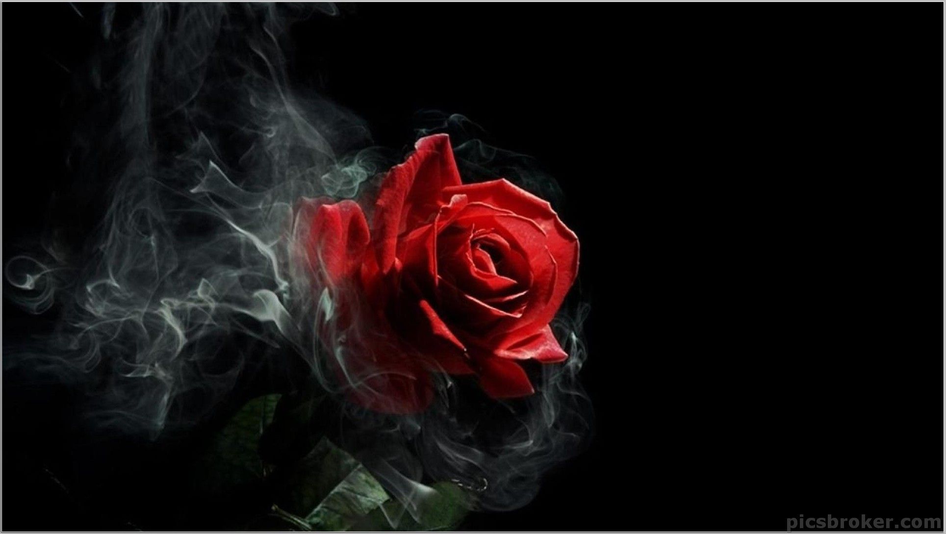 Rosa rossa con fumo, 1929x1089 Full HD 1080p, PC