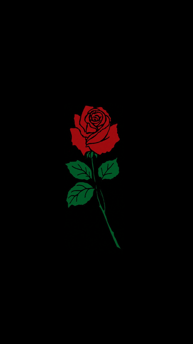 Rosa rossa su sfondo nero, 750x1334 Verticale, Mobile