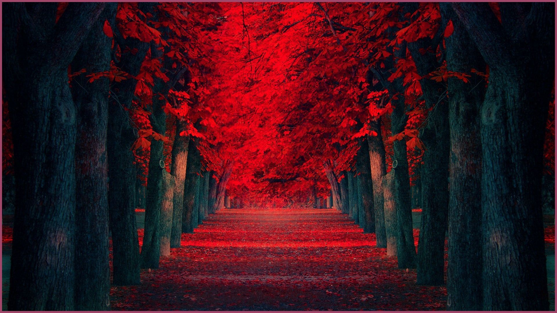 Viale alberi rossi autunnali, 1920x1080 Full HD, PC Desktop