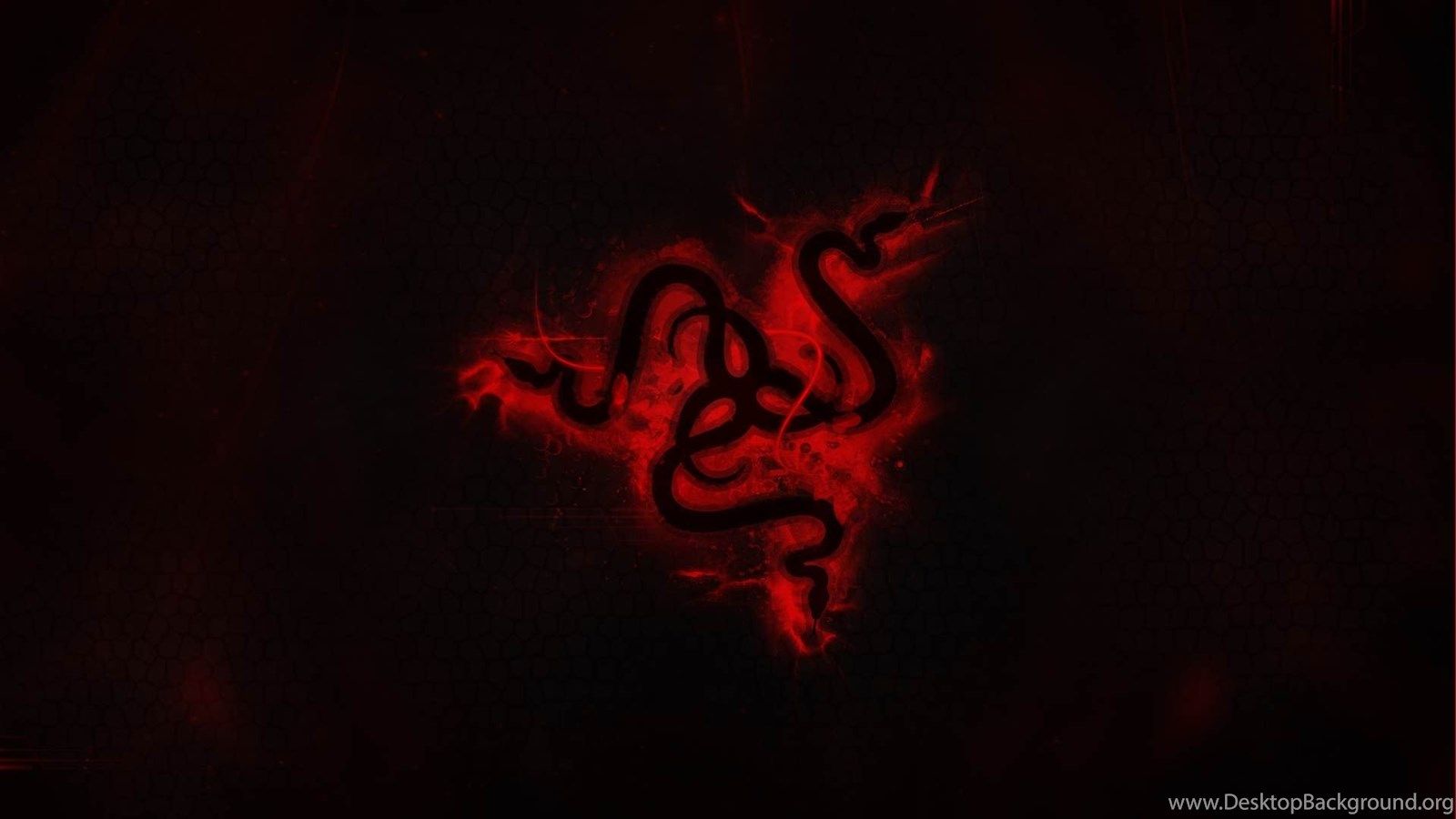 Logo Razer rosso fumo, periferiche gaming, 1600x900 900p, Desktop