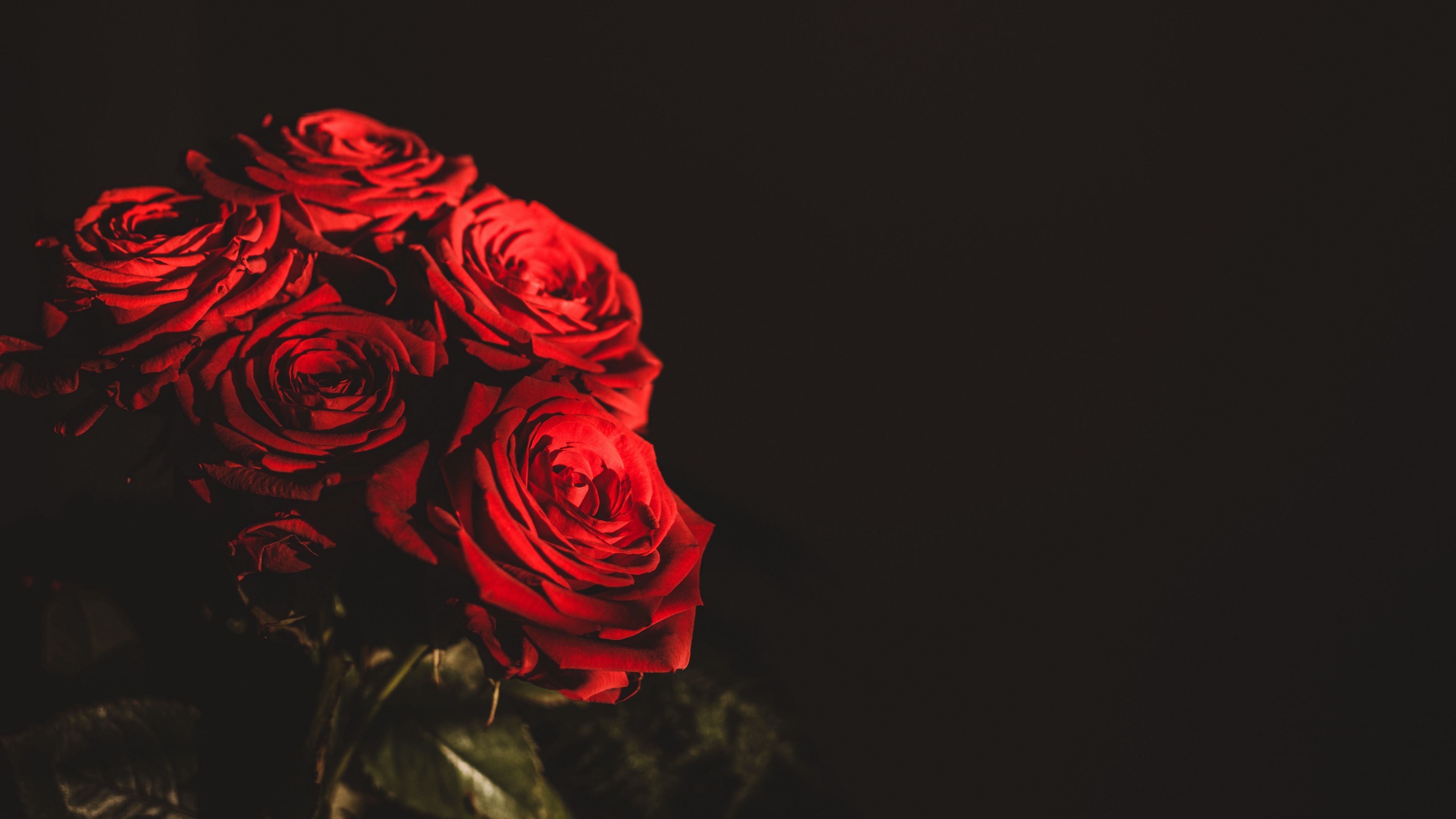 Bouquet rose rosse scuro, 3840x2160 Ultra HD, 4K TV