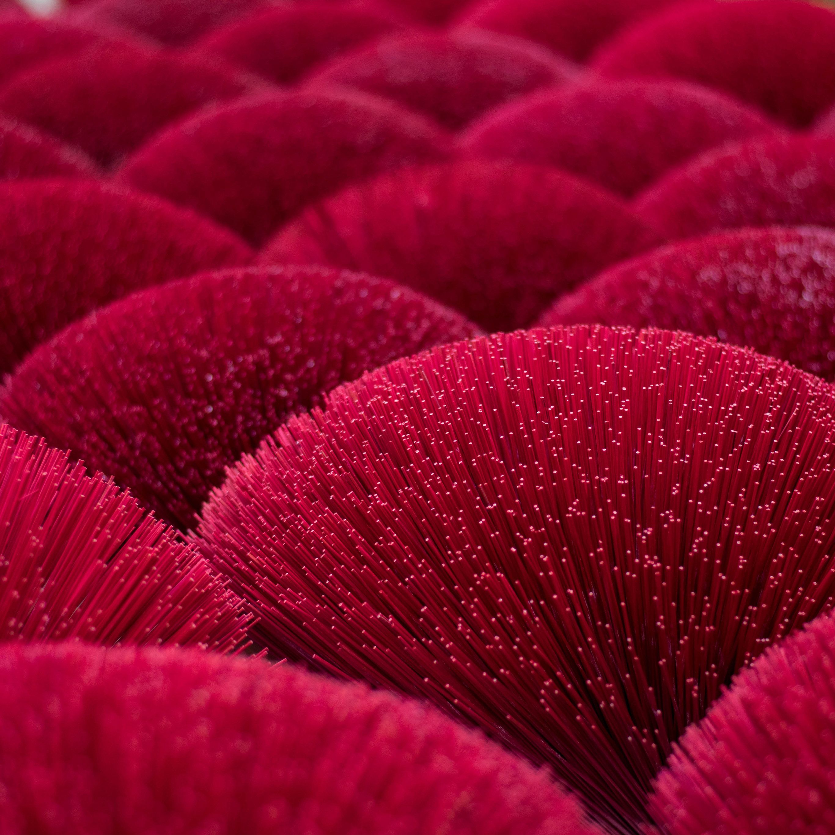 Fasci setole rosse a ventaglio, 2732x2732 2K, Desktop