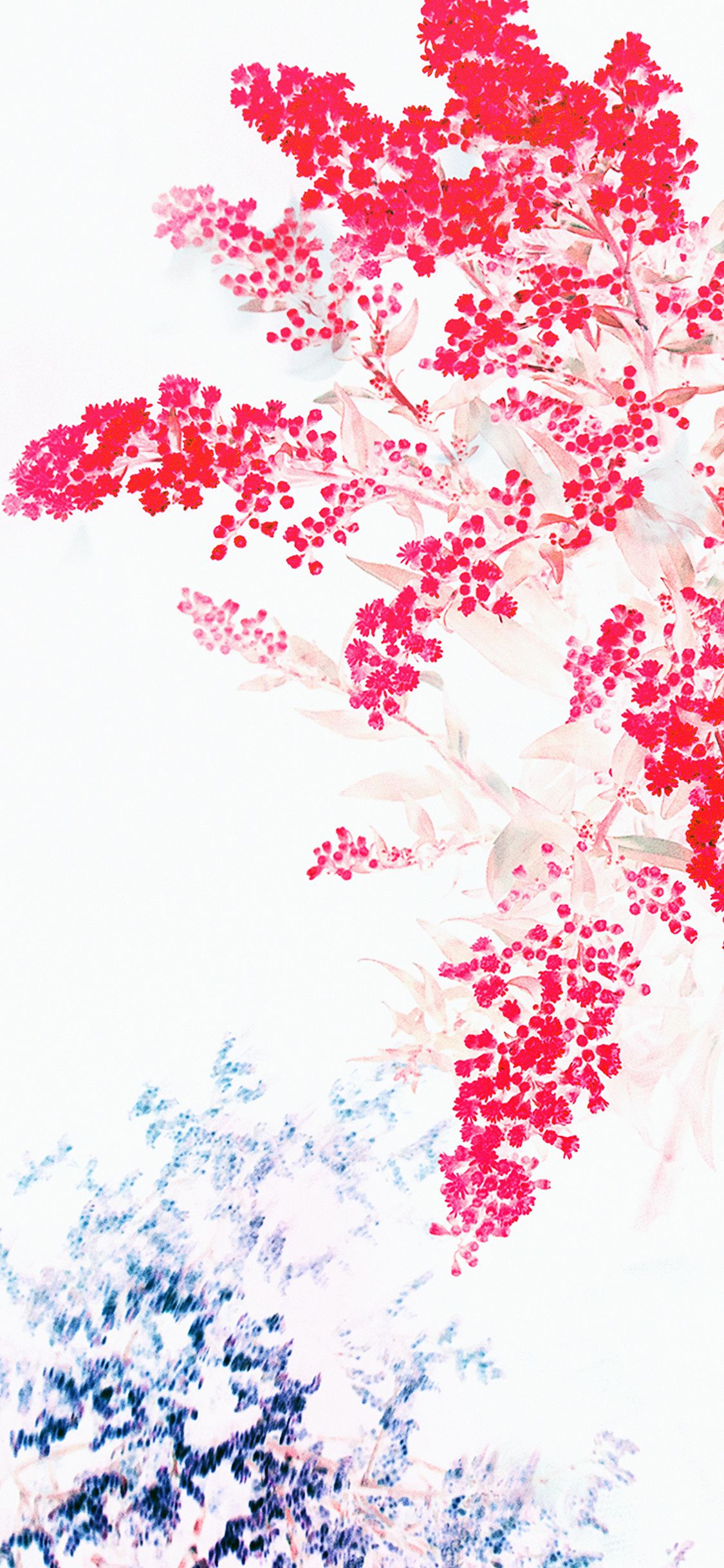 Rami con fiori rossi, 1125x2436 Verticale, Mobile