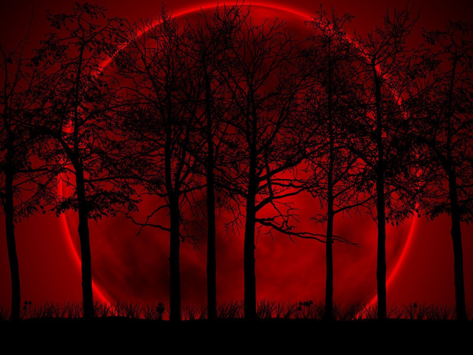 Luna rossa alberi silhouette, 1600x1200 900p, Laptop