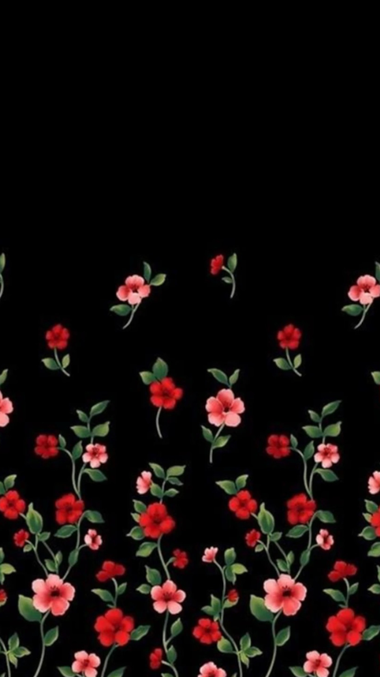Fiori rossi su sfondo nero, 1242x2208 Verticale, Xiaomi