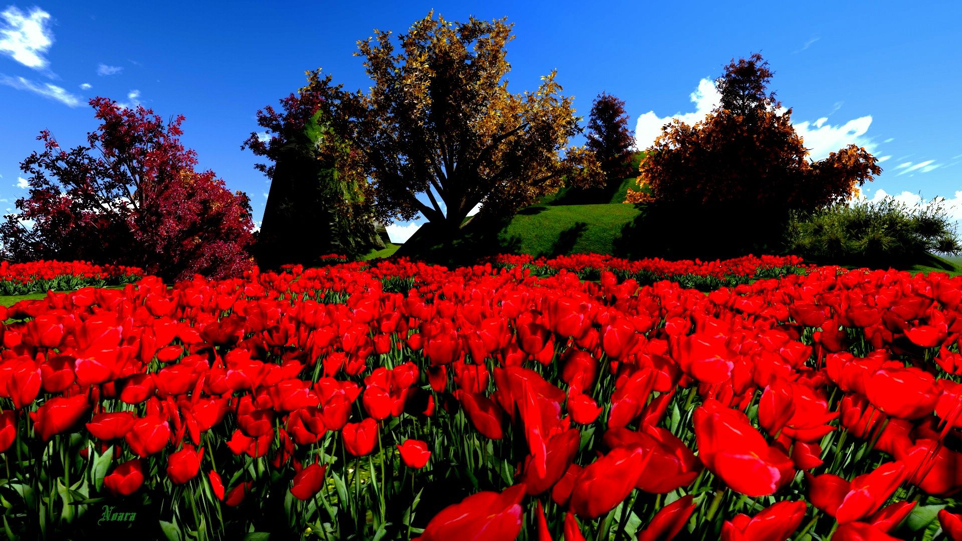 Campo di tulipani rossi, 1920x1080 1080p, PC
