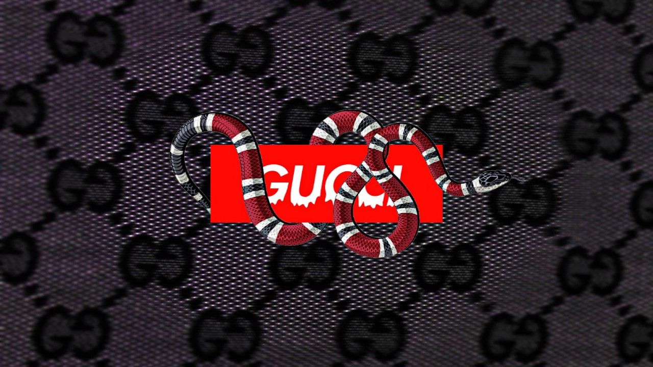 Logo Gucci con serpente rosso, moda di lusso, 1280x720 HD, Desktop