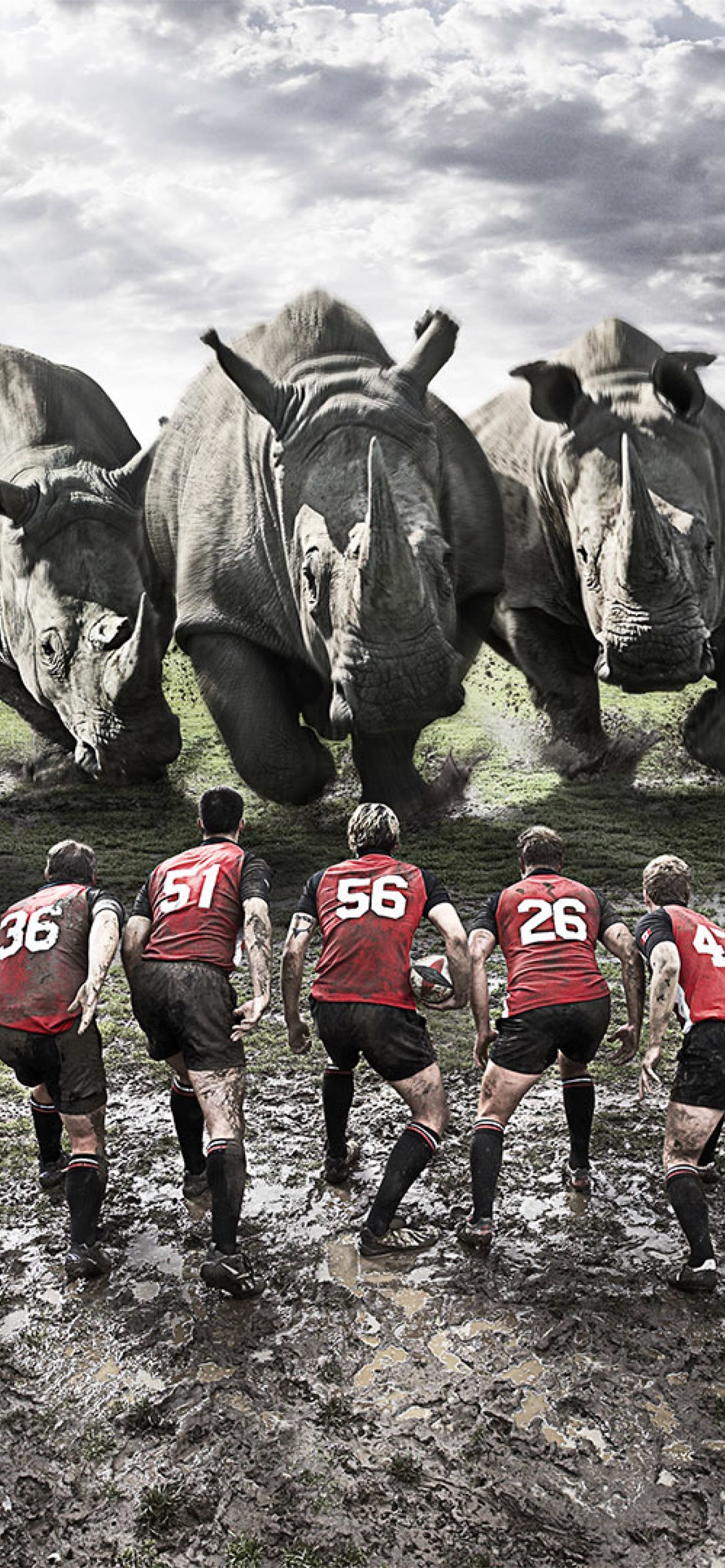 Giocatori rugby contro rinoceronti, 1284x2778 Full HD Verticale, Smartphone