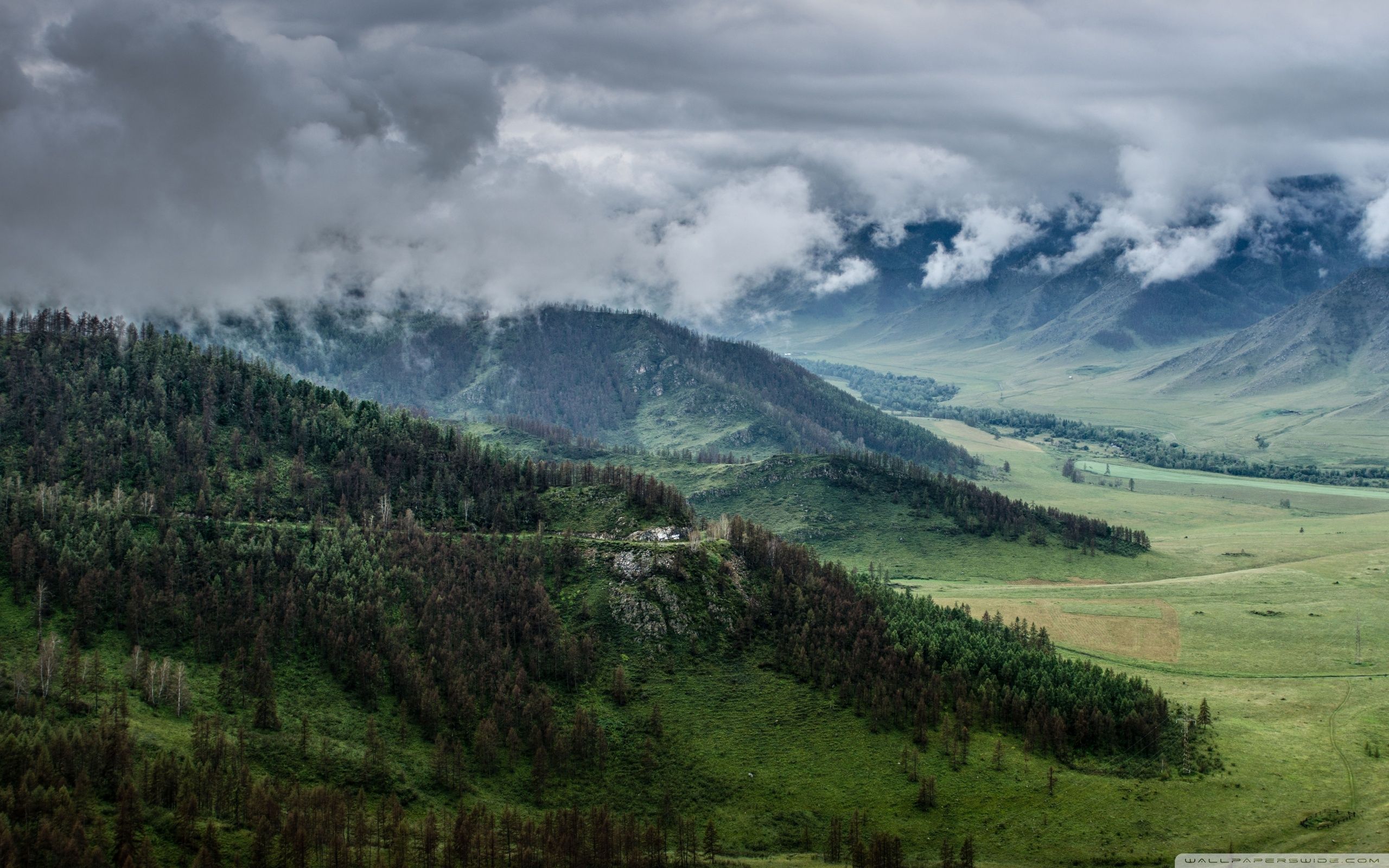 Montagne Altai valle verde, 2560x1600 WQXGA, Monitor Gaming