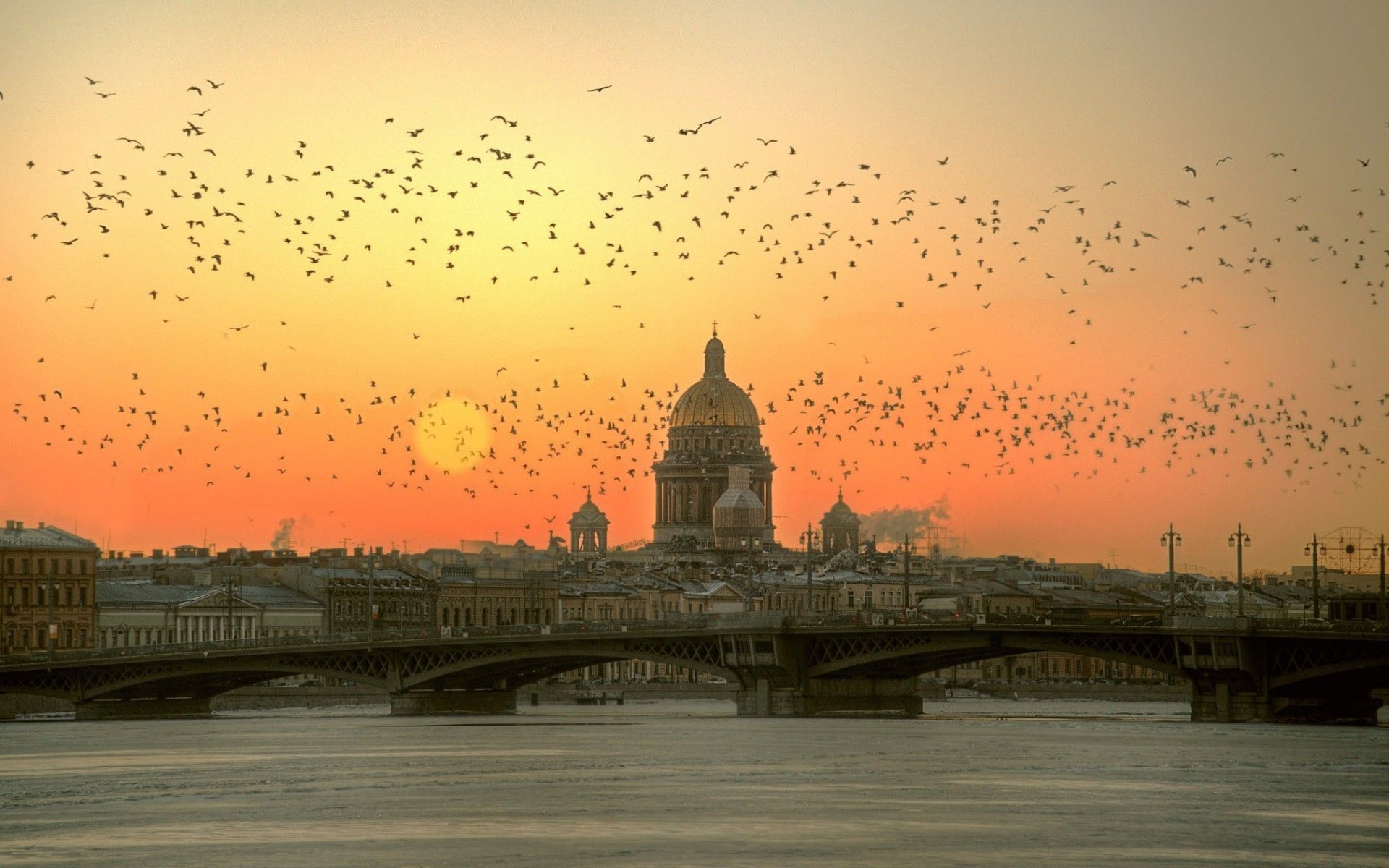 San Pietroburgo tramonto uccelli, 1920x1200 WUXGA, PC Desktop