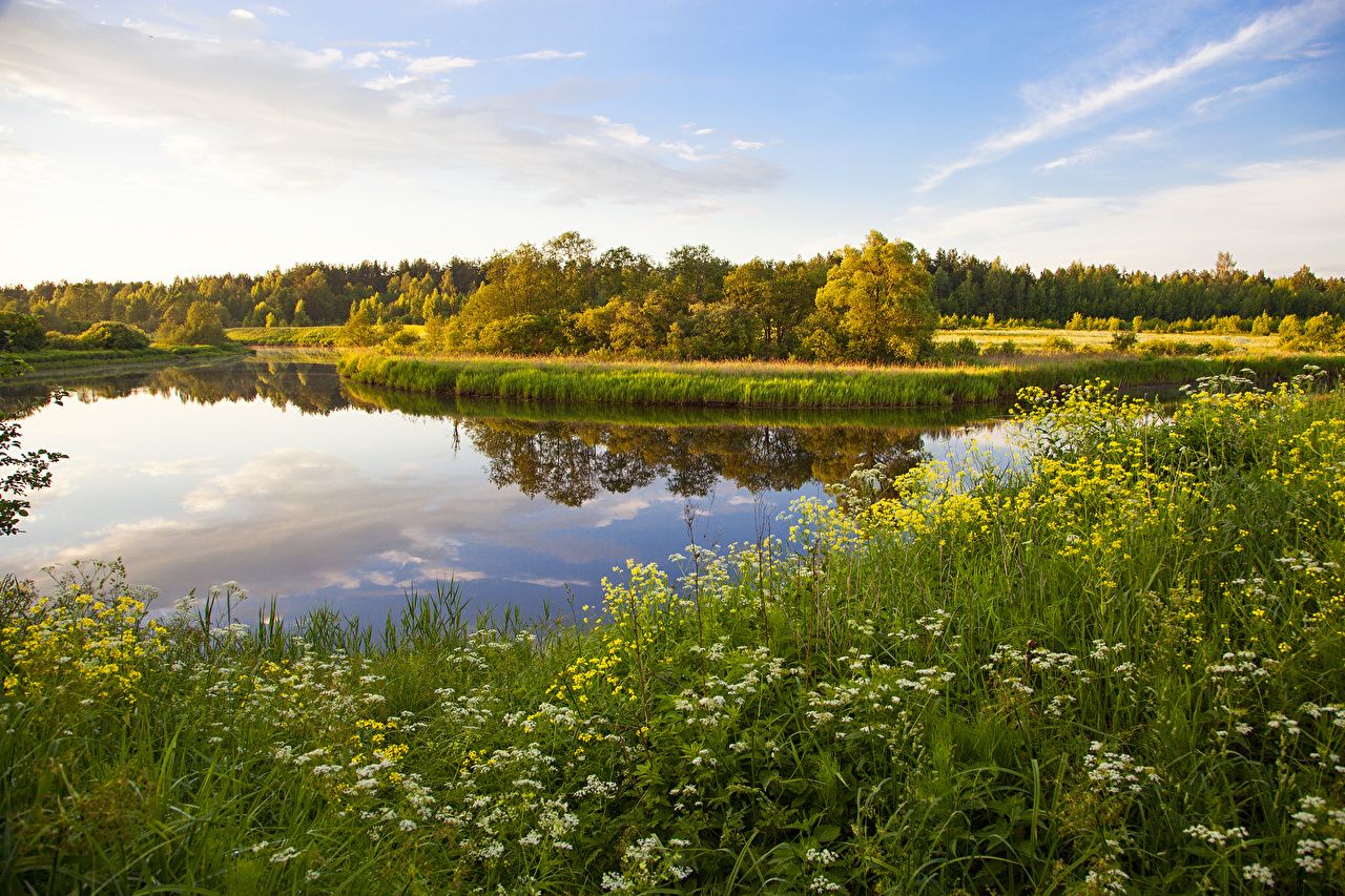 Lago con erba e fiori, 1280x853 720p, PC