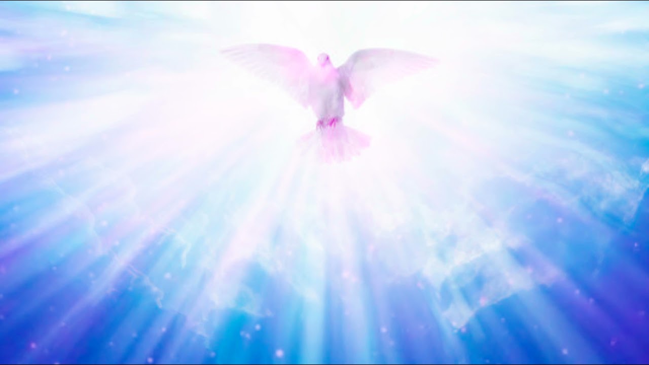 Colomba dello Spirito Santo luminosa, 1280x720 720p, iMac