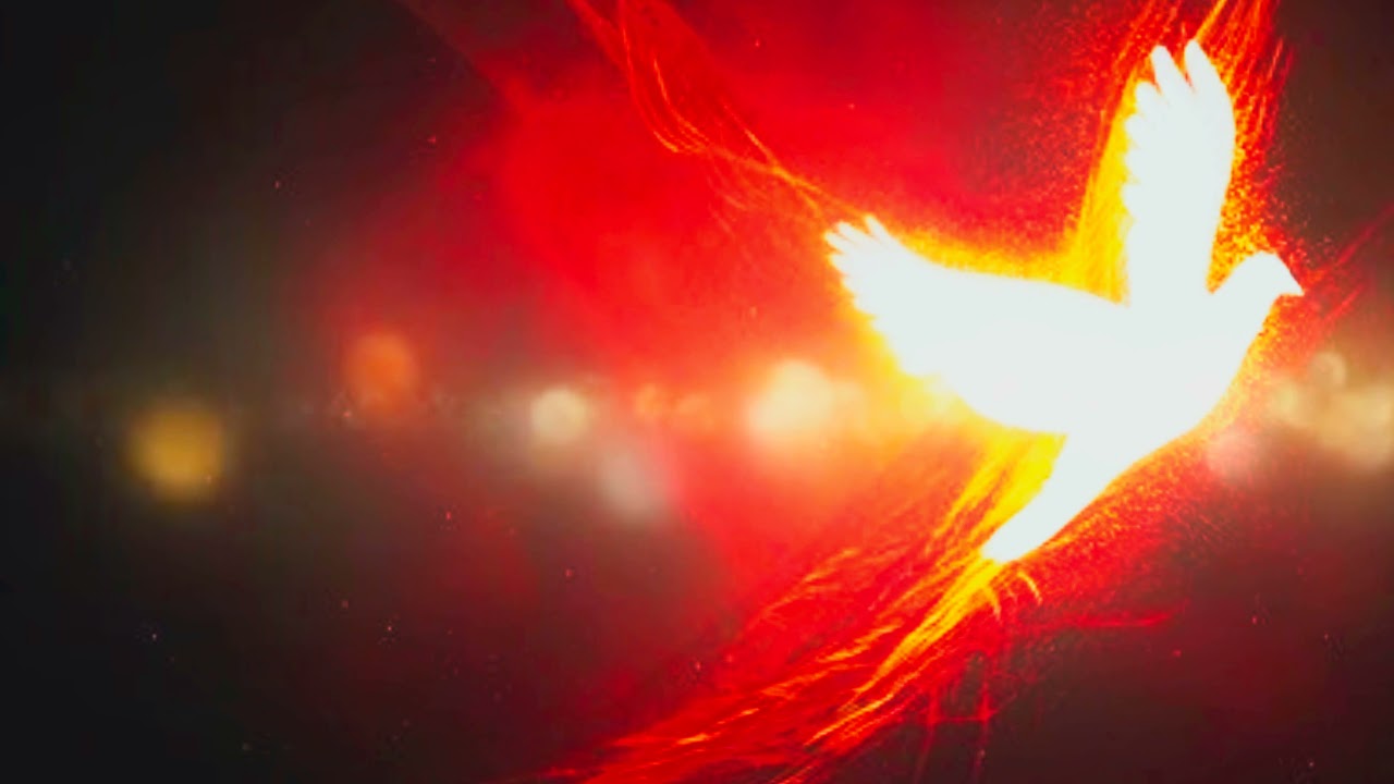 Colomba luminosa fiamme rosse, 1280x720 HD, PC Desktop