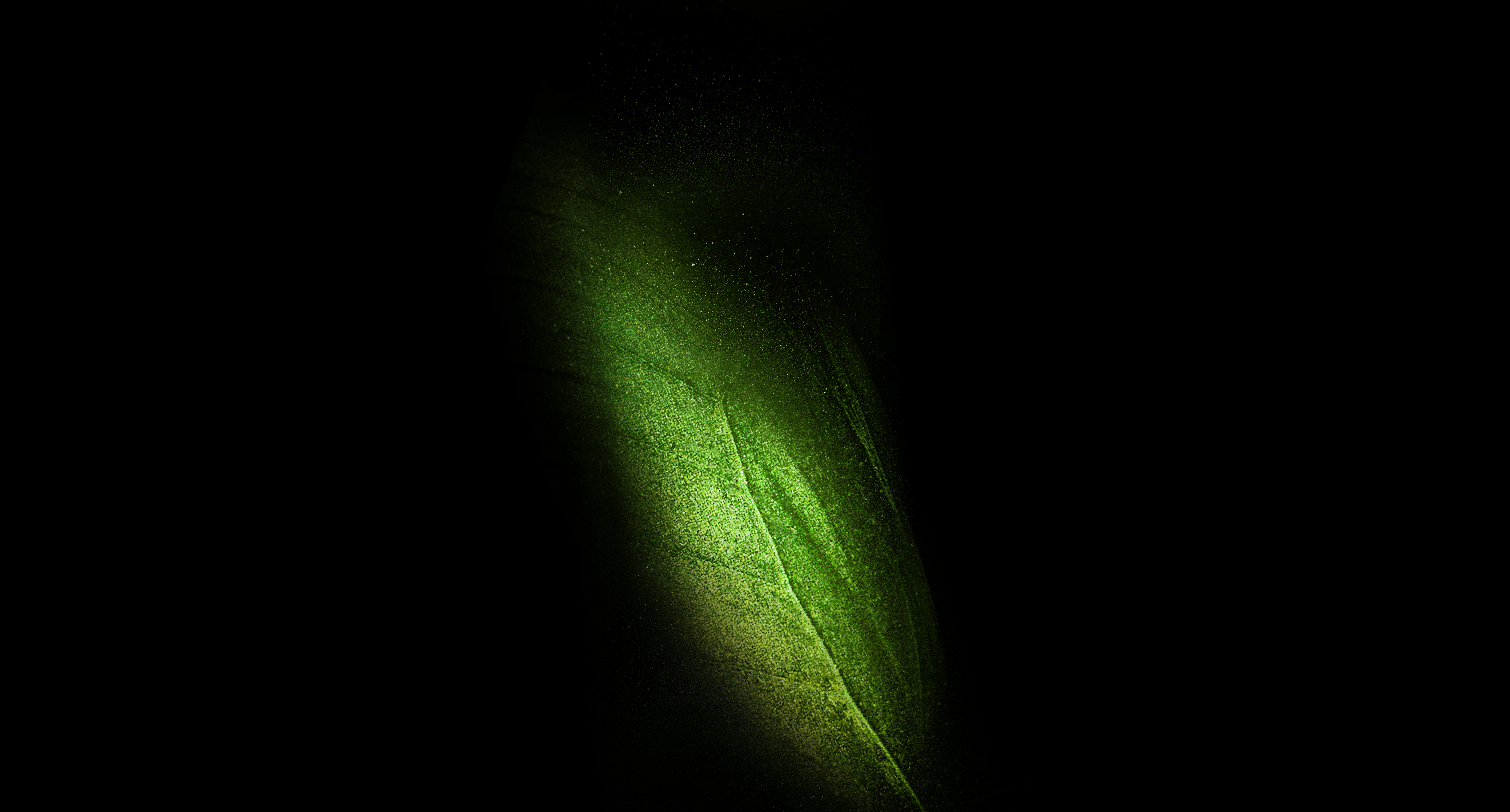 Foglia verde su sfondo nero, 4000x2152 UHD, PC 4K