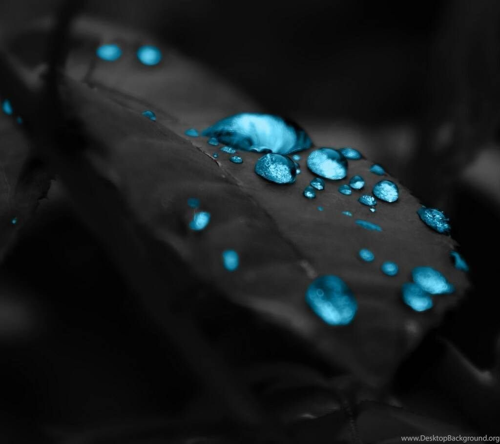 Numero 9 grigio scuro, 2560x2560 WQXGA, Desktop