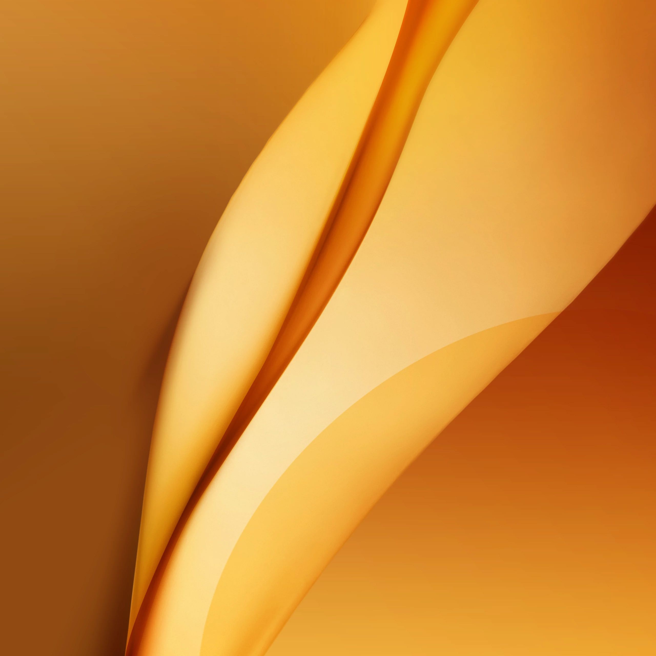 Astratto curve dorate, 2560x2560 2K, Laptop