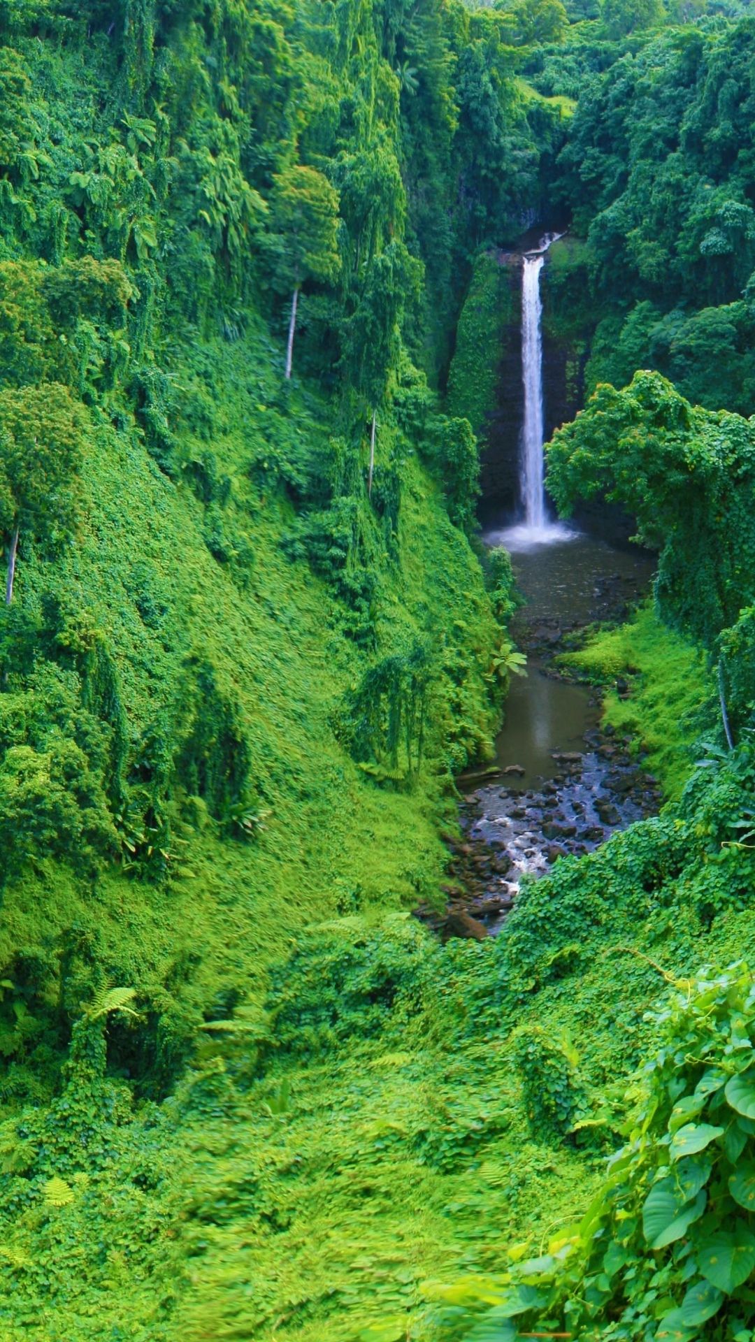 Cascata verde nella giungla, 1080x1920 Verticale, Galaxy Ultra