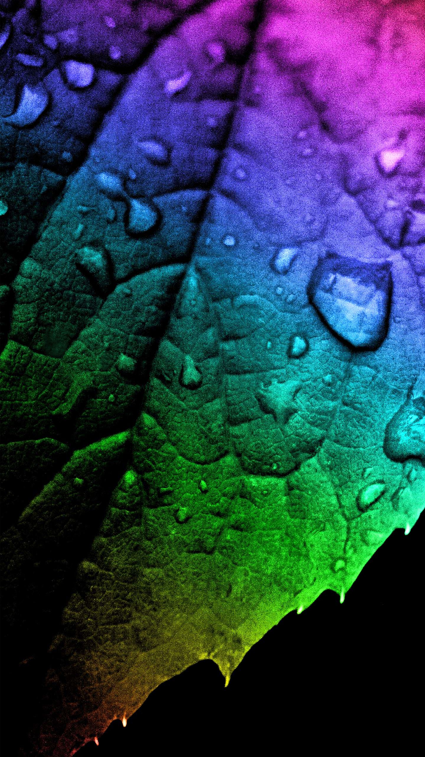 Foglia arcobaleno con gocce d'acqua, 1440x2560 Verticale, Galaxy Note