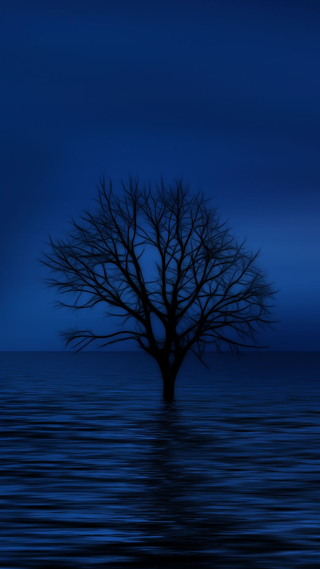 Albero solitario blu notte, 1080x1920 Full HD Verticale, Galaxy S