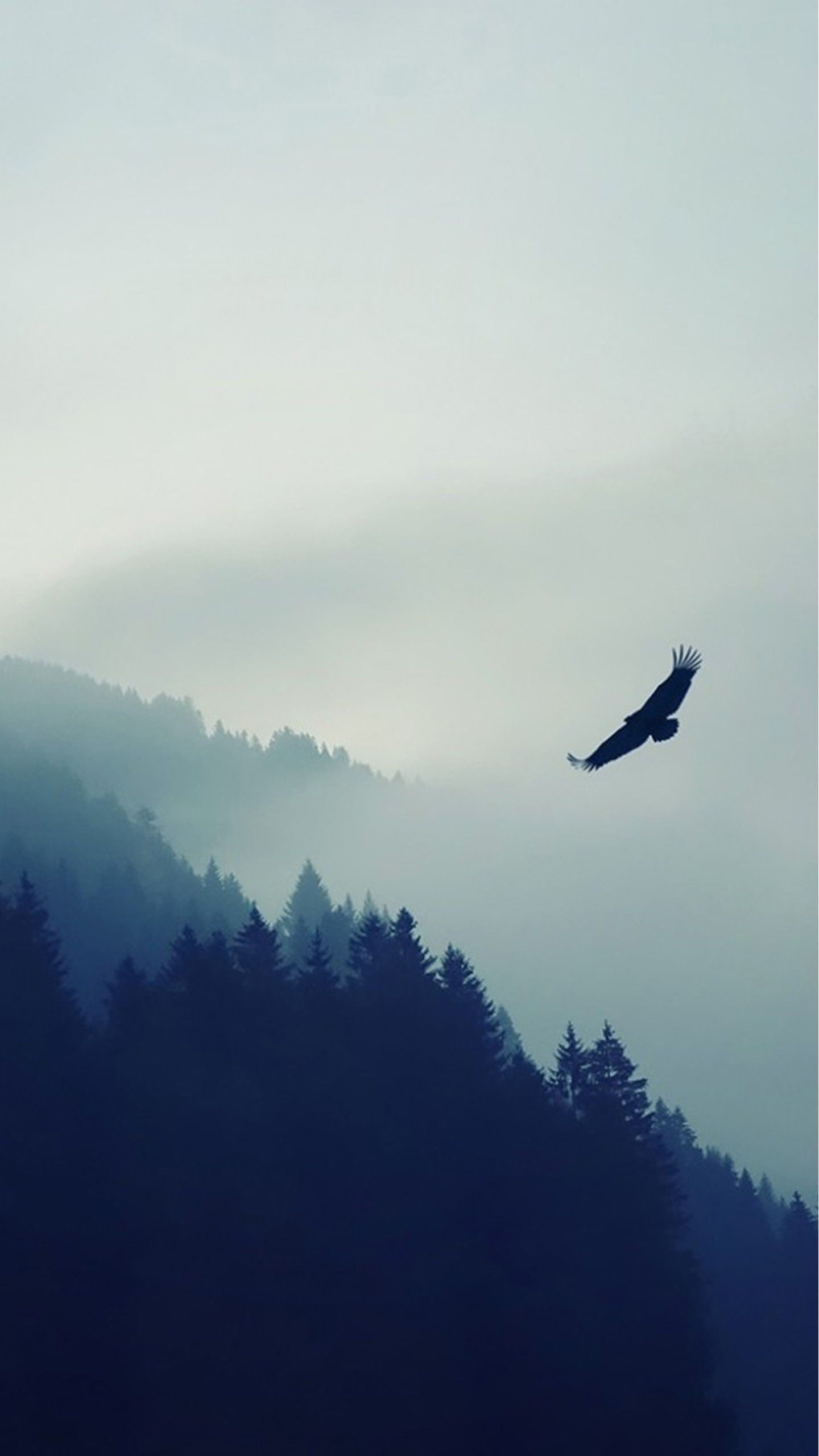Aquila in volo su montagne, 1440x2560 Verticale, Galaxy Ultra