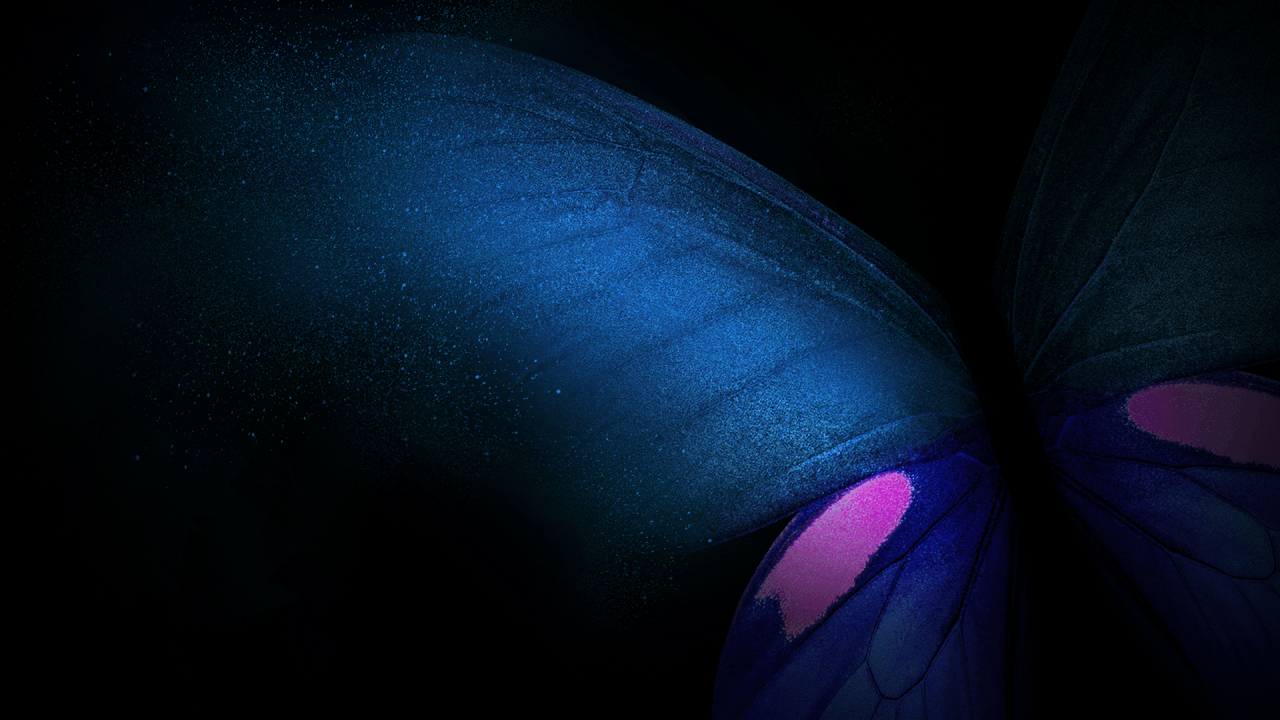 Farfalla blu scuro, 1280x720 720p, Laptop
