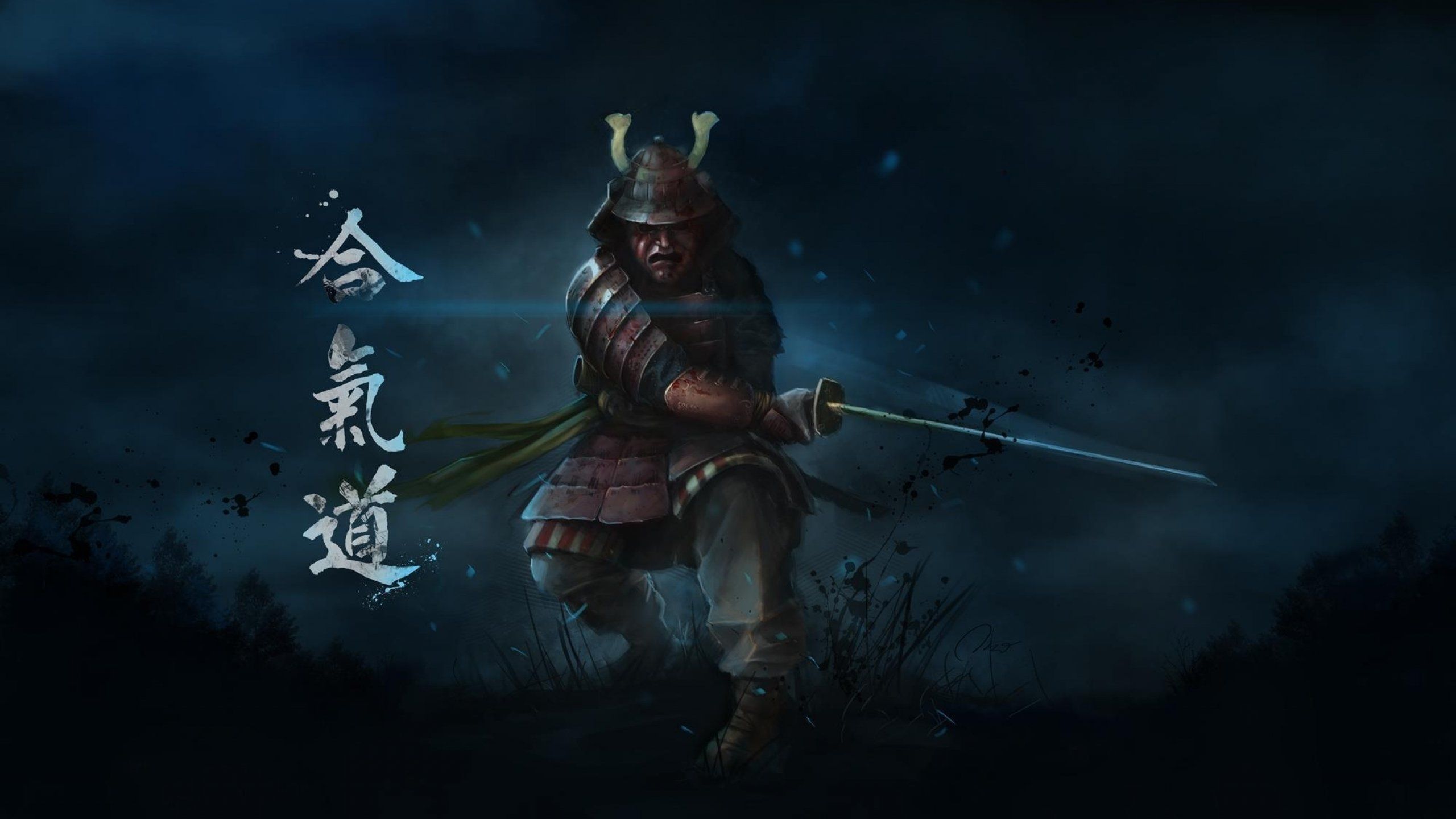 Guerriero samurai armatura notturna, 2560x1440 1440p, Desktop