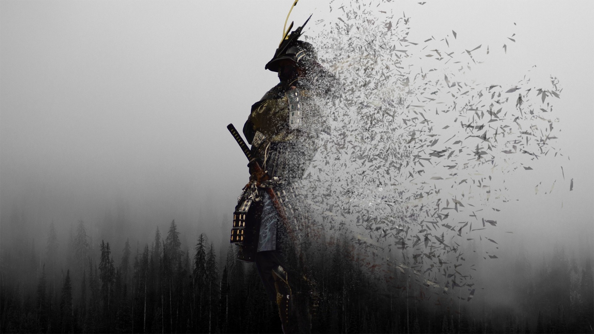 Samurai disintegrazione particellare nebbia, 1920x1080 Full HD, PC Desktop