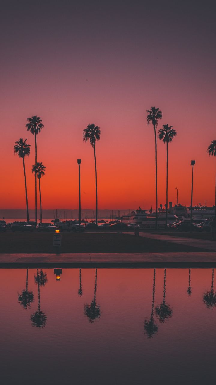 Palme tramonto San Diego, 720x1280 Full HD Verticale, Google Pixel