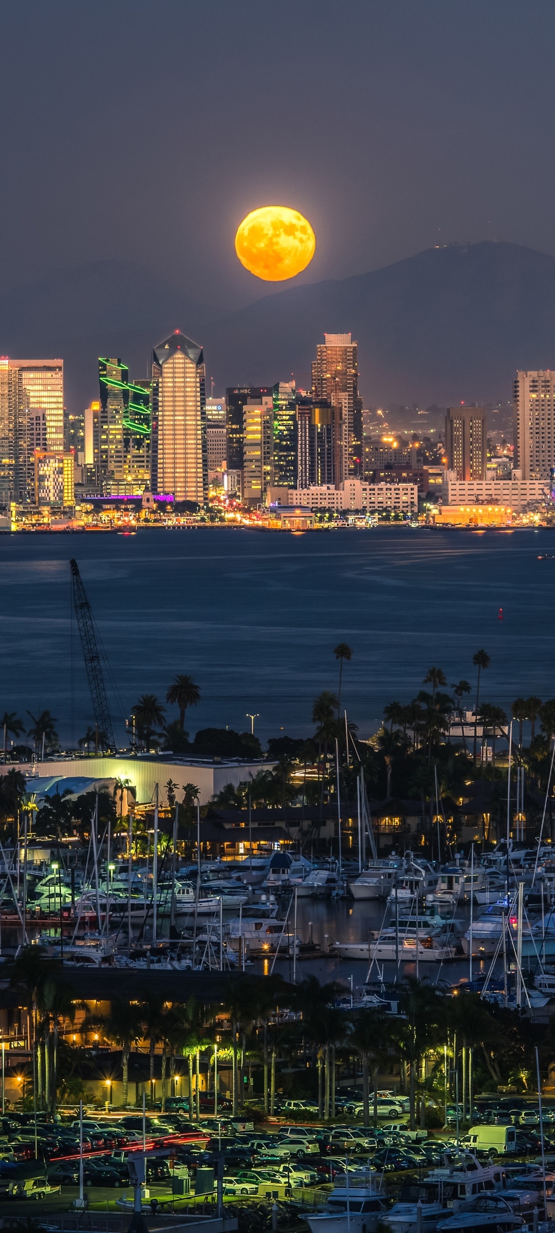 Skyline San Diego con luna, 1080x2400 Full HD Verticale, iPhone