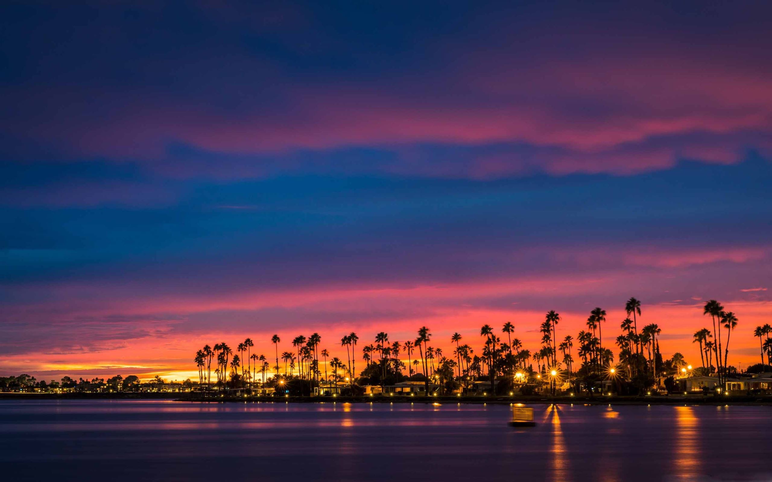 Tramonto San Diego con palme, 2560x1600 2K+, Desktop