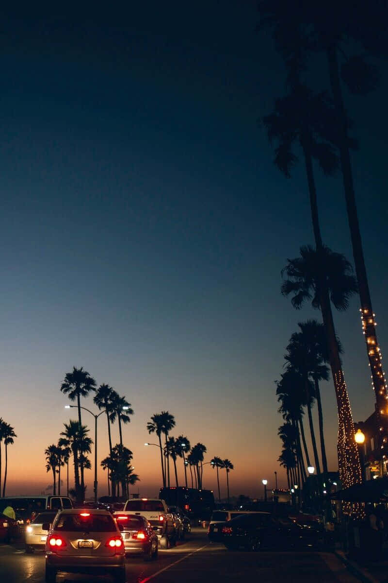 Tramonto strada con palme, 800x1200 Full HD Verticale, Smartphone