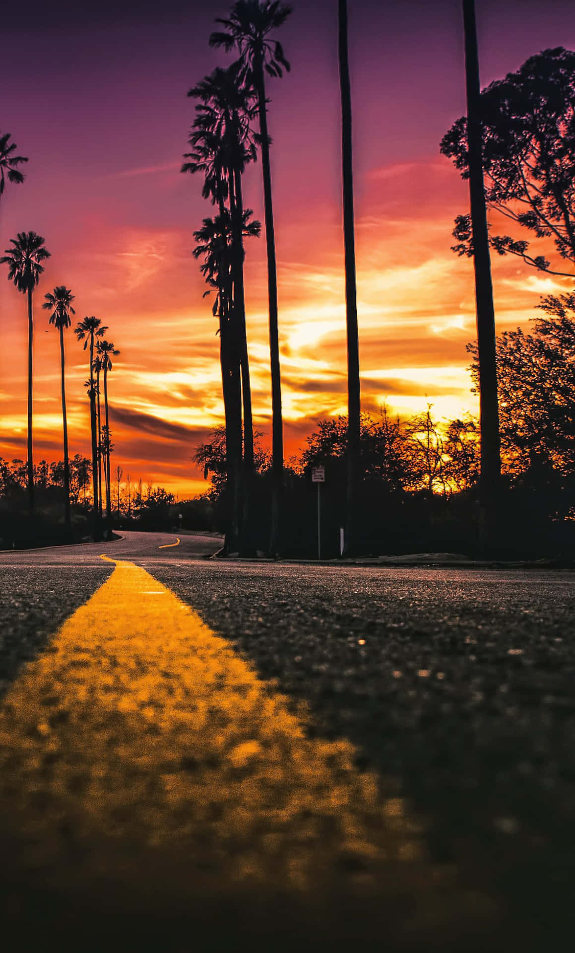 Strada al tramonto con palme, 1159x1920 Verticale, Xiaomi