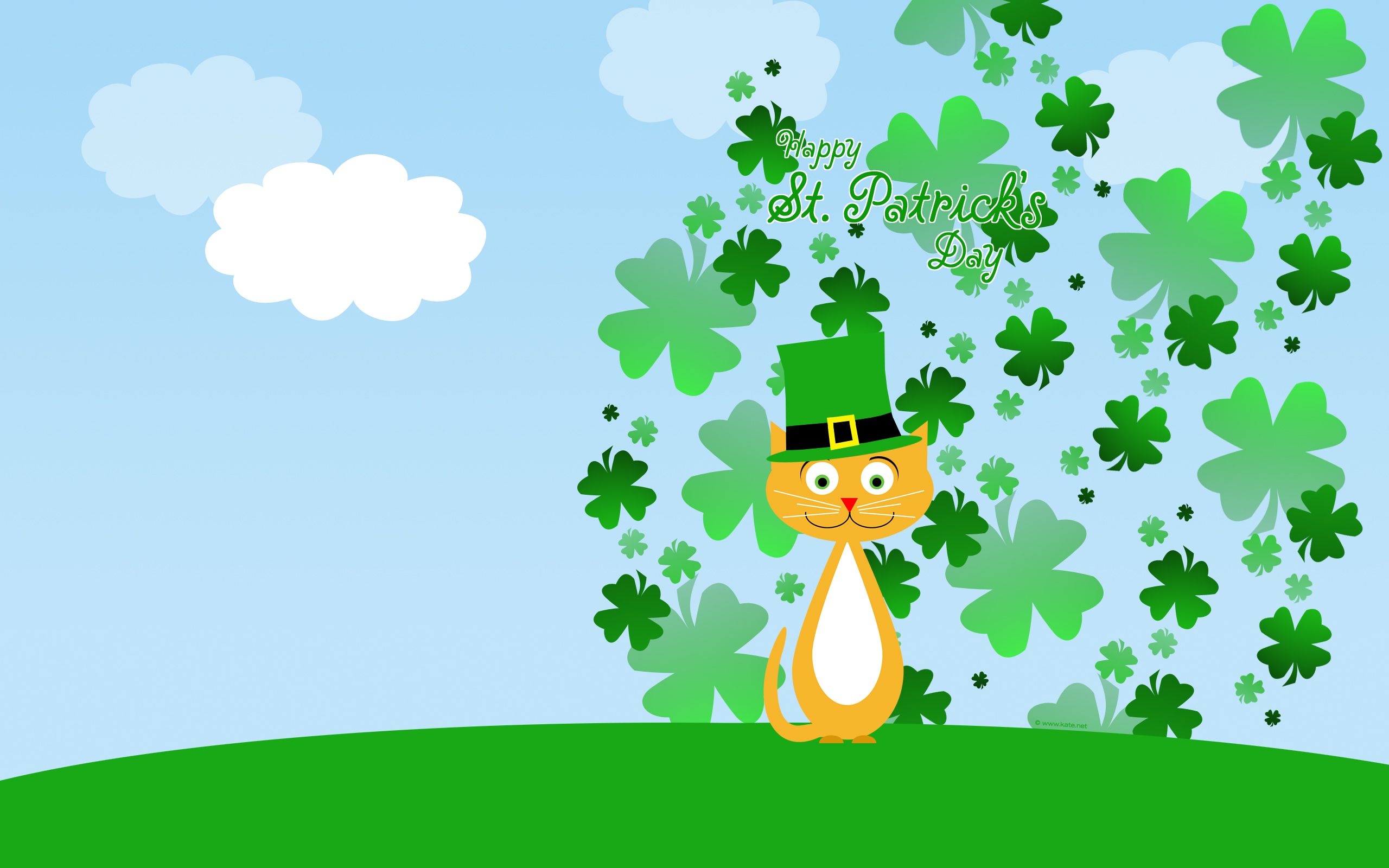 Gatto arancione con cappello verde, 2560x1600 WQXGA, Laptop