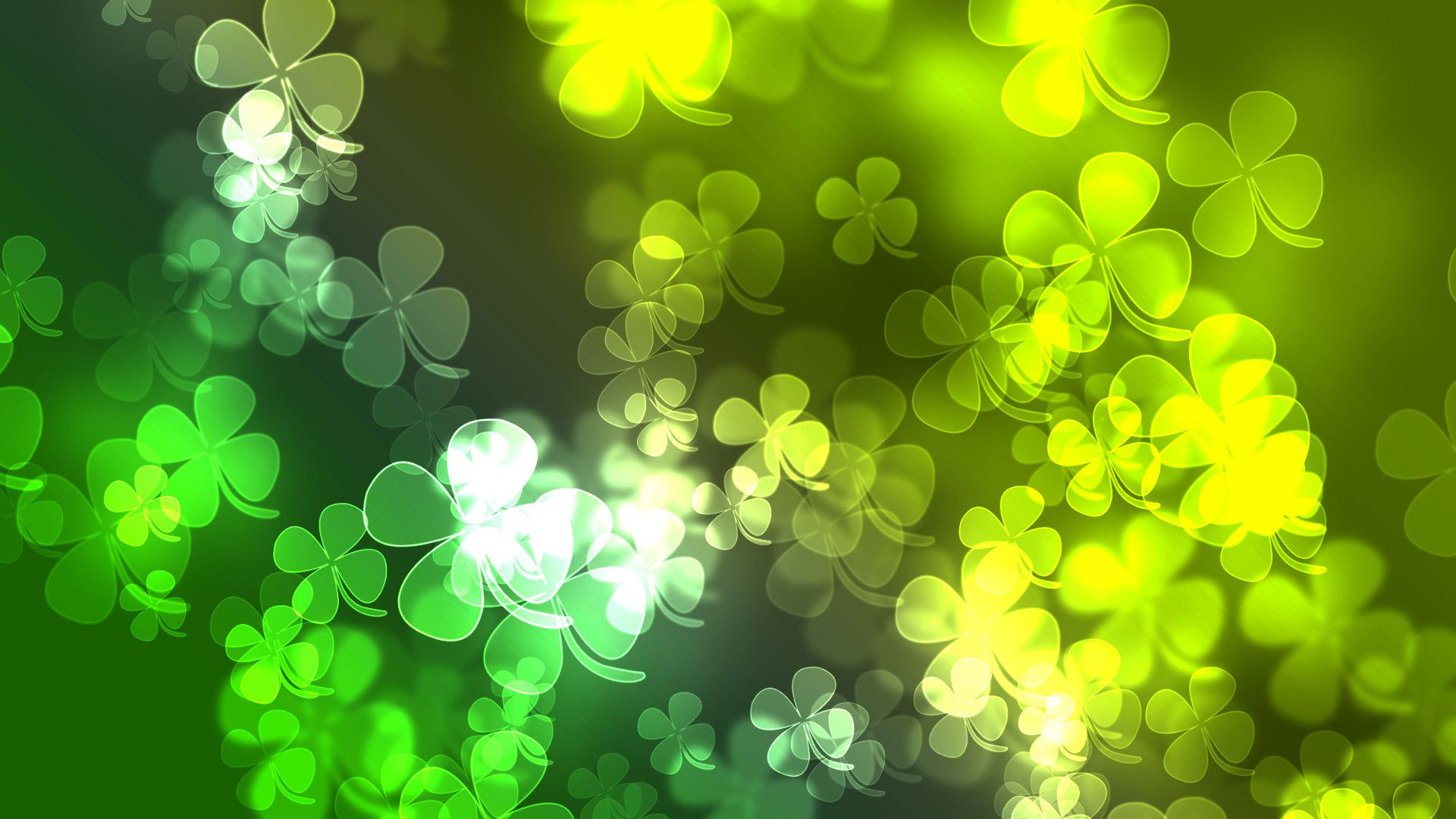 Trifogli verdi sfocati bokeh, 1920x1080 Full HD, PC Desktop