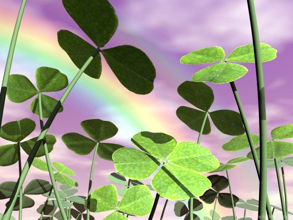 Trifogli verdi con arcobaleno, 1024x768 HD, Desktop