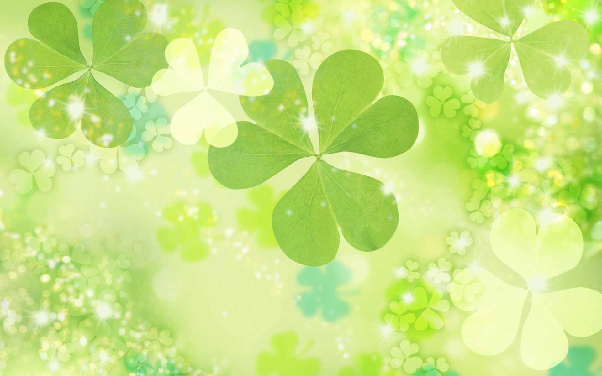 Trifogli verdi bokeh, 1920x1200 Full HD+ WUXGA, iMac