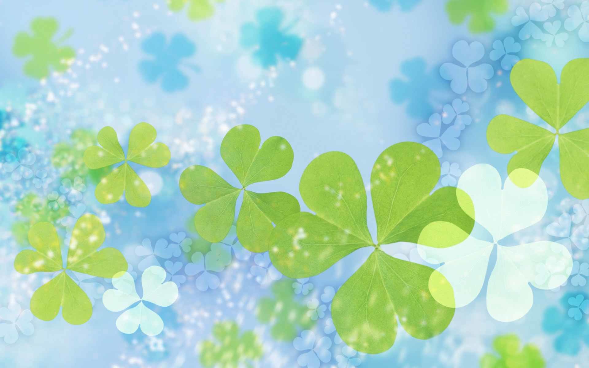 Quadrifogli verdi su sfondo azzurro, 1920x1200 WUXGA, Desktop
