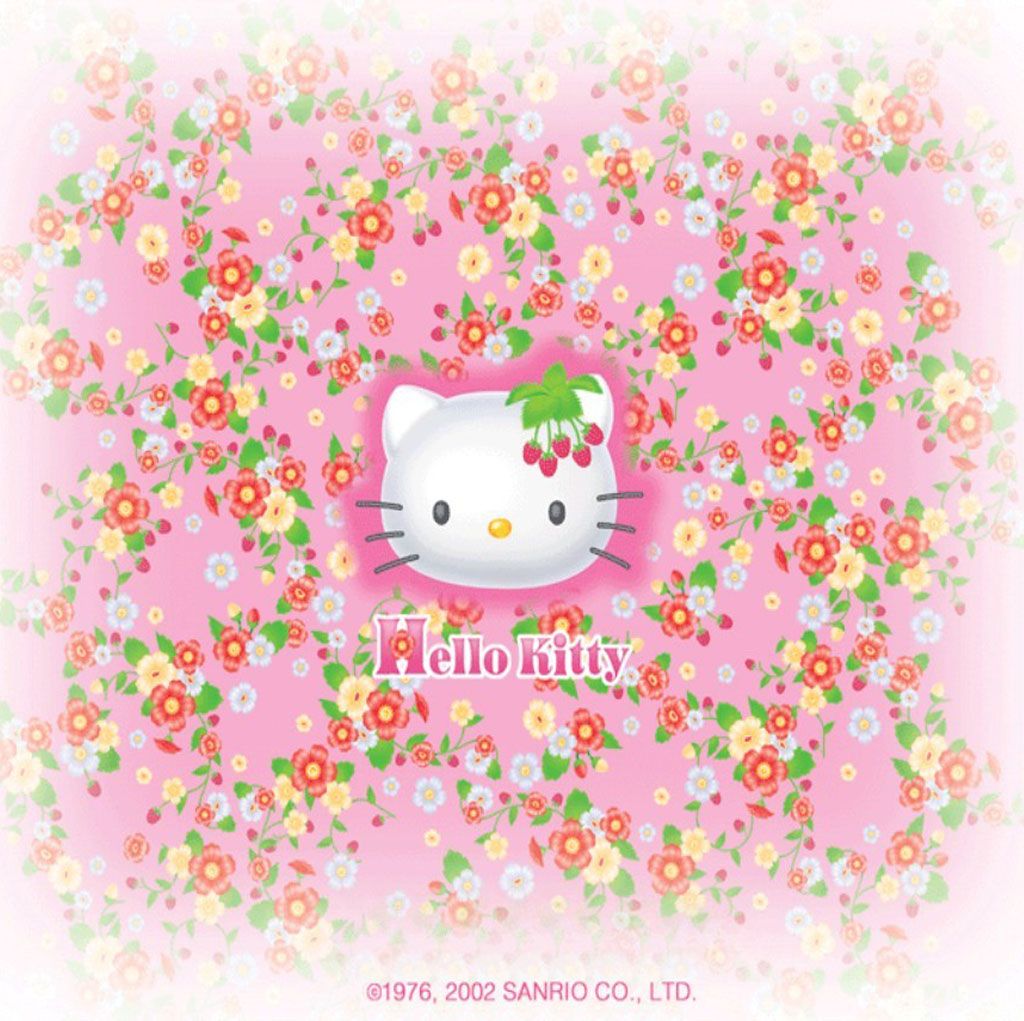 Hello Kitty fiori rosa, 1024x1021 HD, Laptop