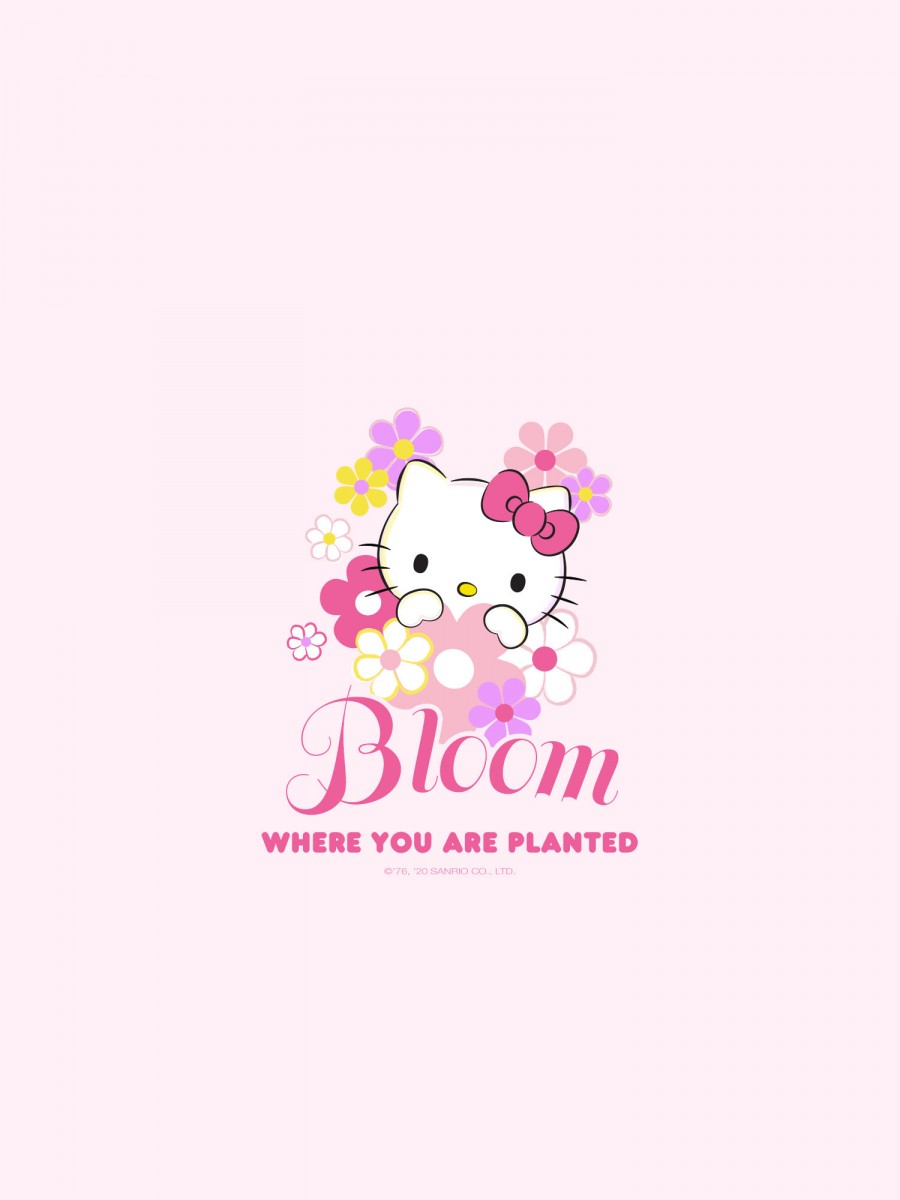 Hello Kitty fiori frase rosa, 900x1200 Full HD Verticale, Smartphone
