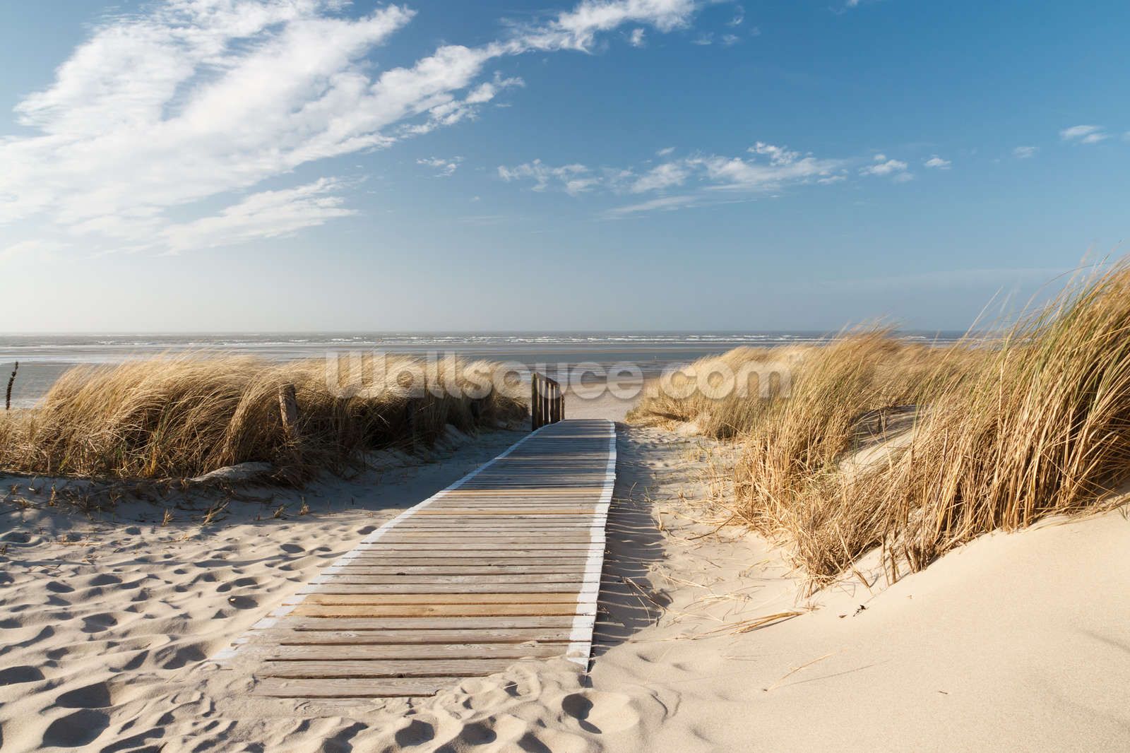 Passerella di legno tra dune, 1600x1066 HD Ready, Laptop