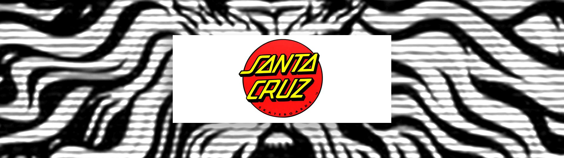 Skateboard Santa Cruz colorati, 1600x1200 HD Ready, Laptop