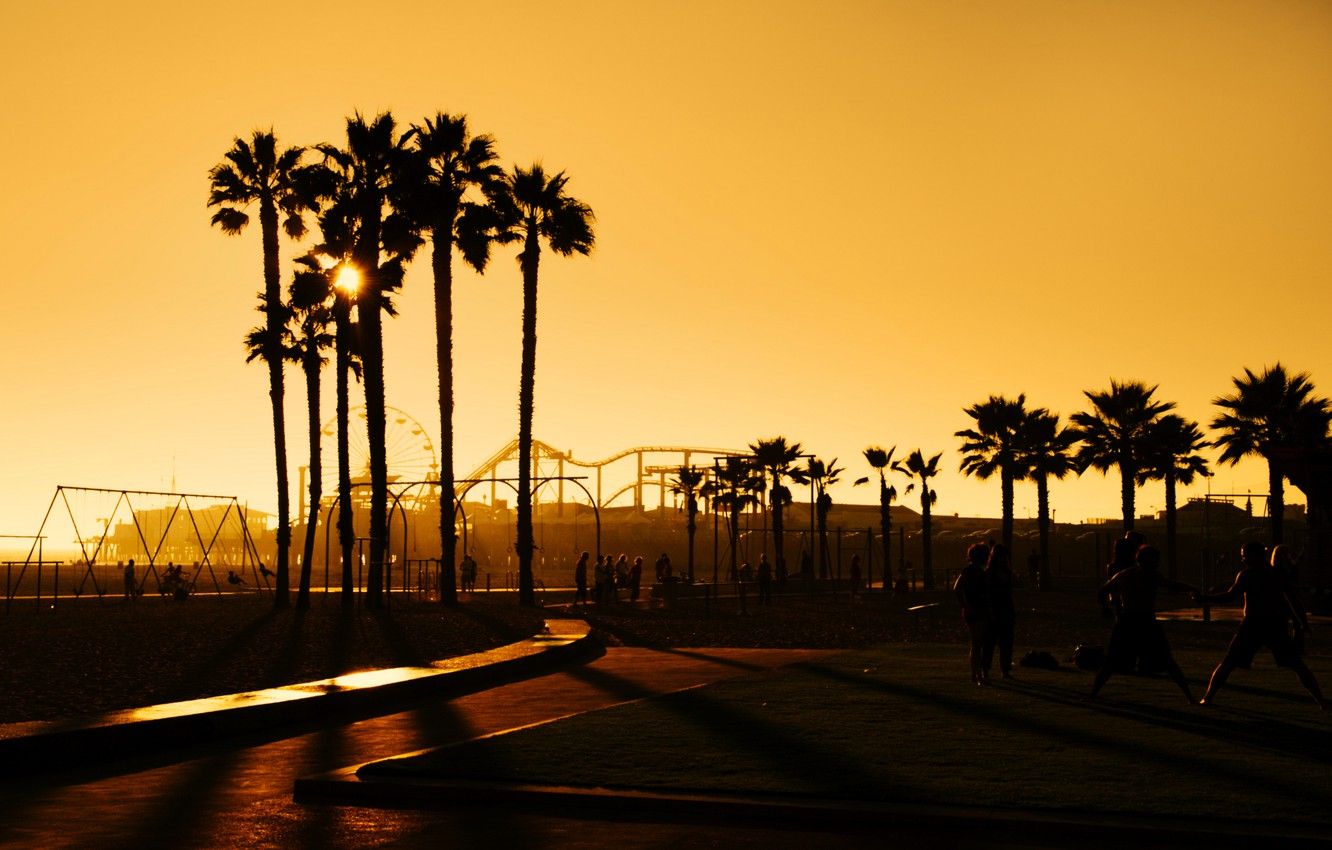 Palme al tramonto, Santa Monica, 1332x850 HD, Notebook Gaming