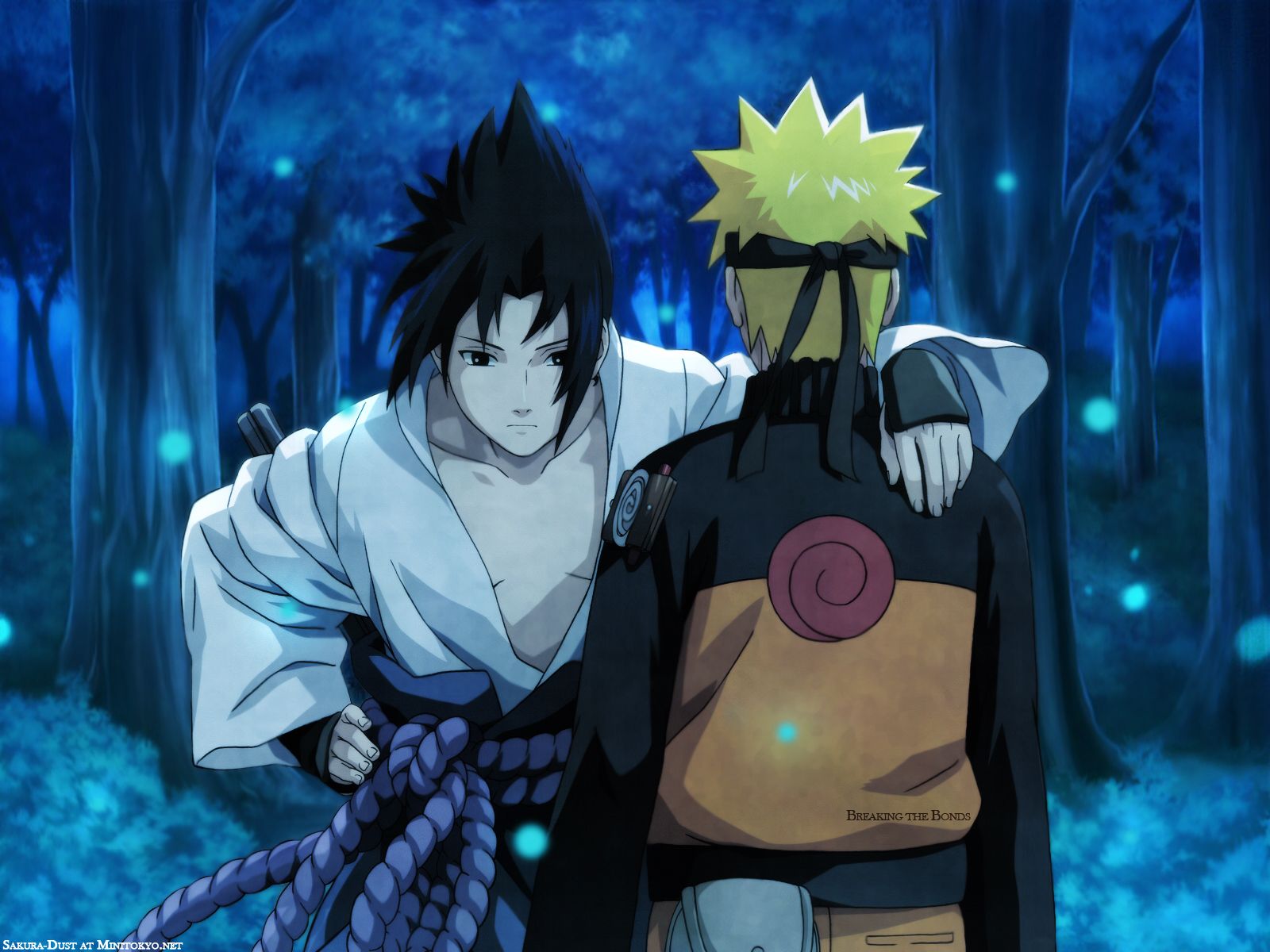 Sasuke e Naruto foresta notturna, 1600x1200 HD, Desktop