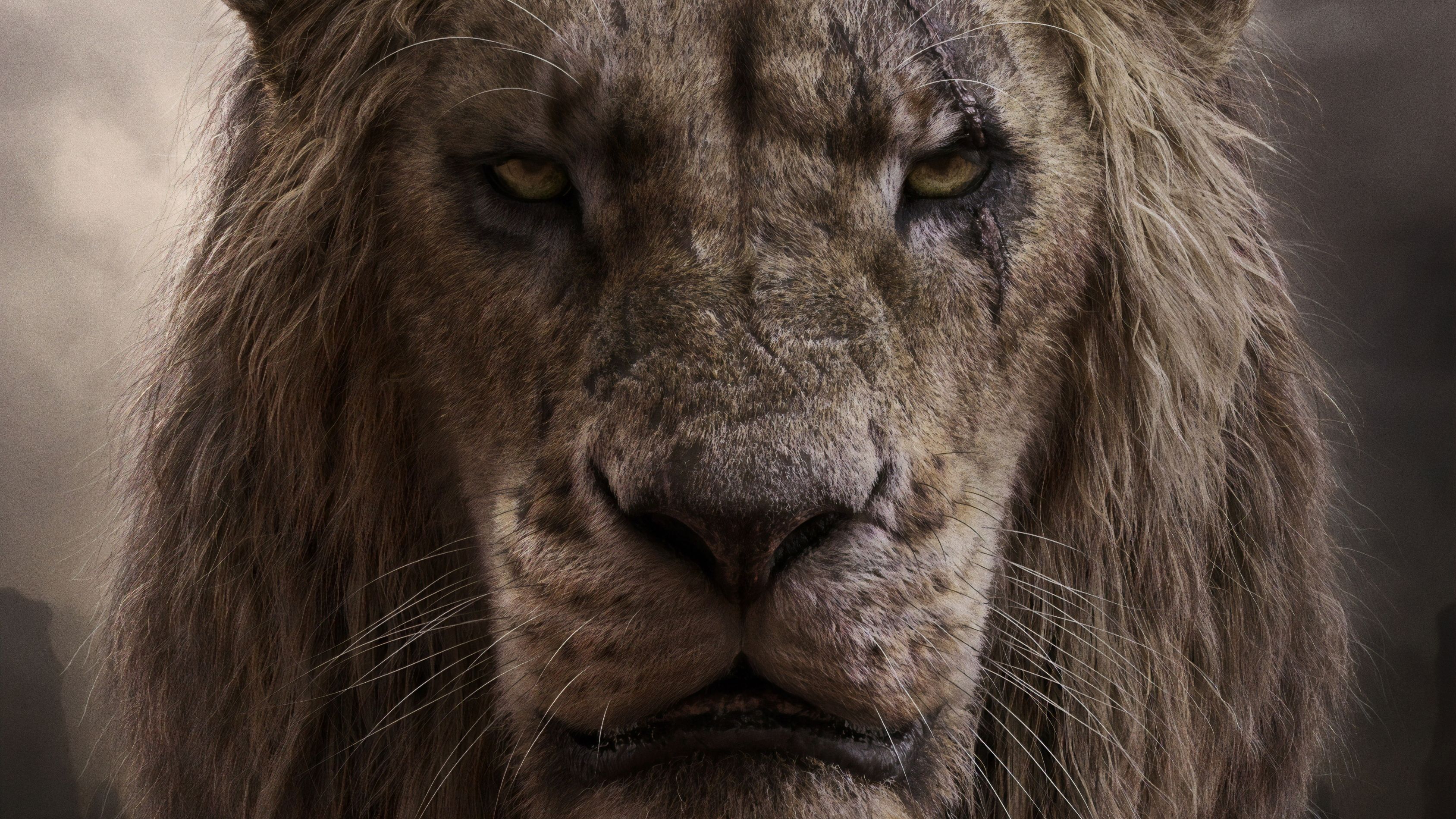 Fucile SCAR tattico marrone, 1332x850 HD, Desktop