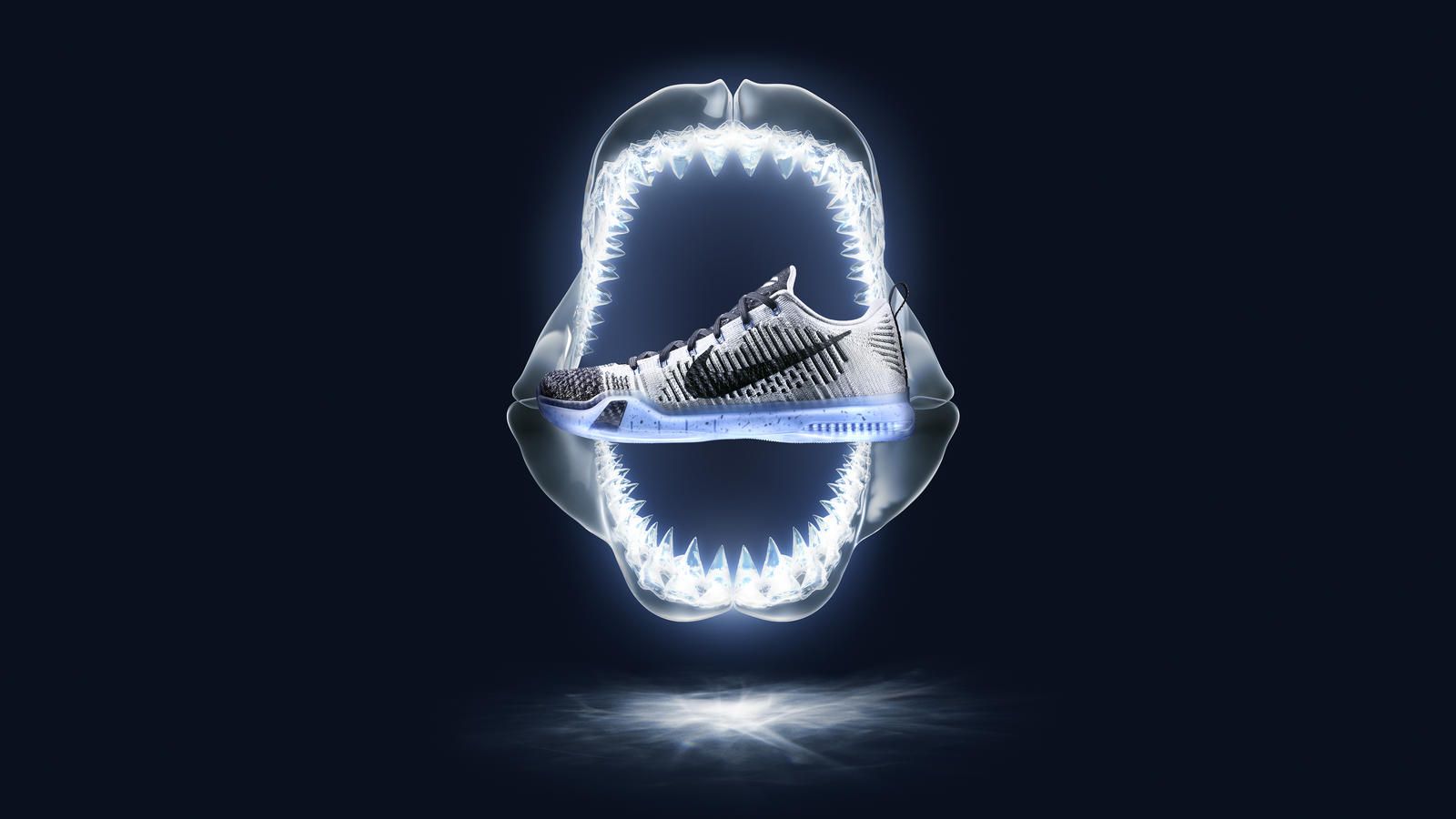 Scarpa Nike dentro squalo, 1600x900 HD Ready, Laptop