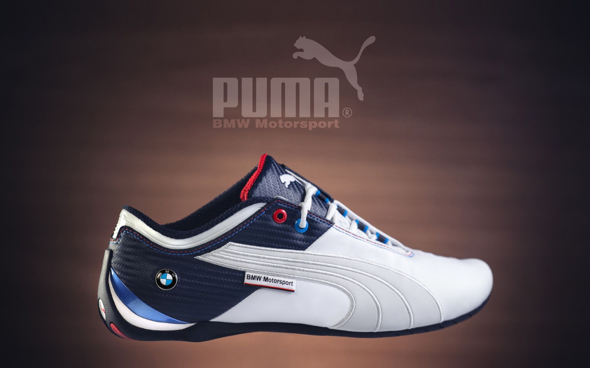 Scarpa Puma BMW Motorsport, 1920x1200 Full HD+ WUXGA, Desktop